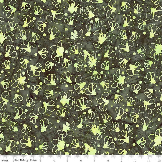 Untitled.jpg