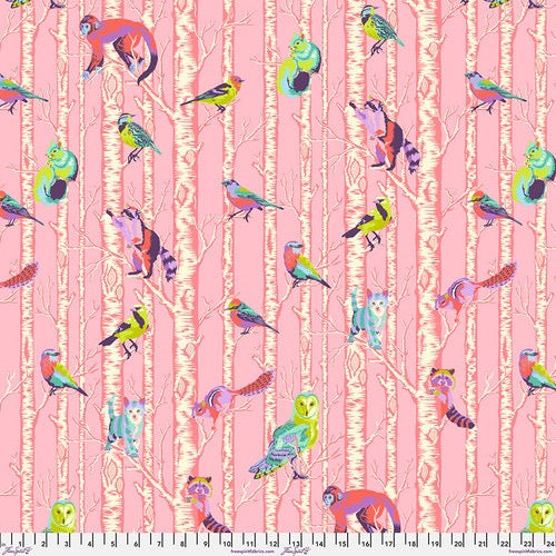 Untitled.jpg