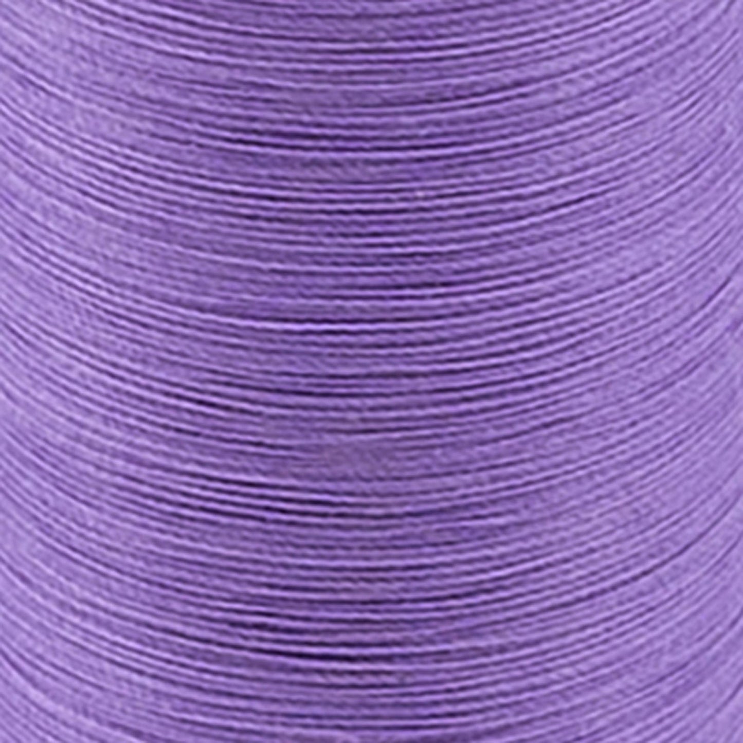 Untitled.jpg