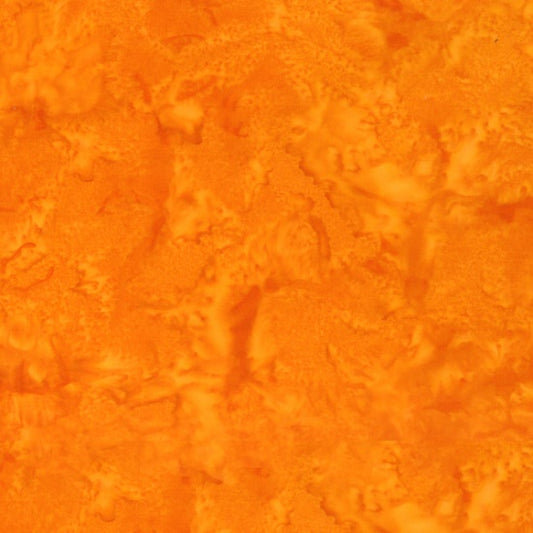1895-460-Squash.jpg