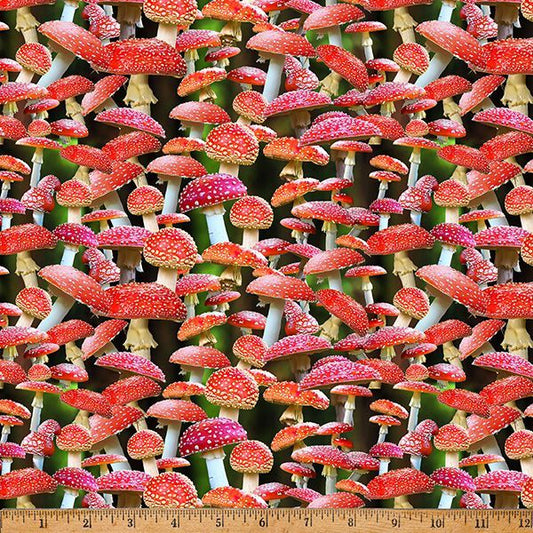 Untitled.jpg