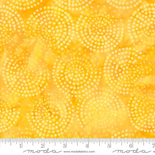 74560_MD-2213_01058.jpg