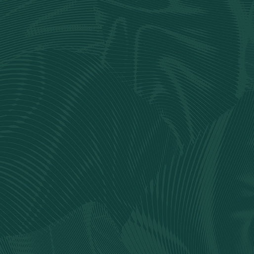 Untitled.jpg